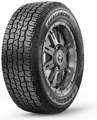 A product stock photo of the Avalanche TT tire on a white background. 